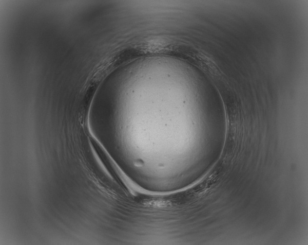 X0000054380503200508011257