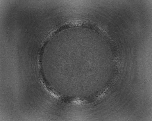 X0000054380504200508011257