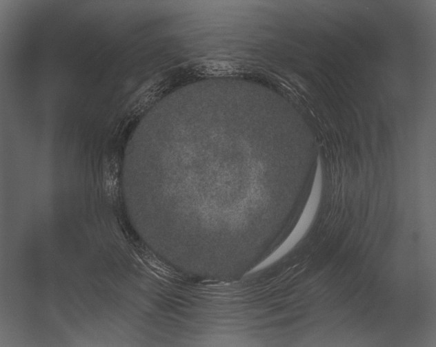 X0000054380507200508011257