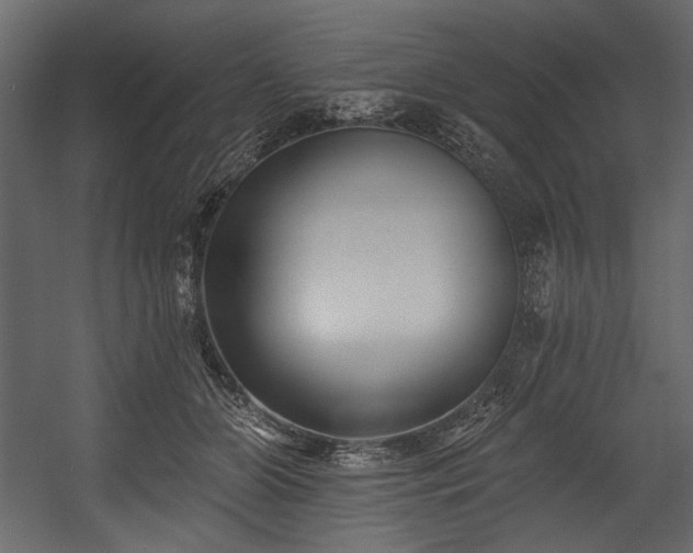 X0000054380510200508011257