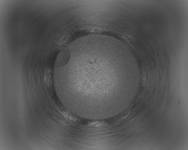X0000054380511200508011257