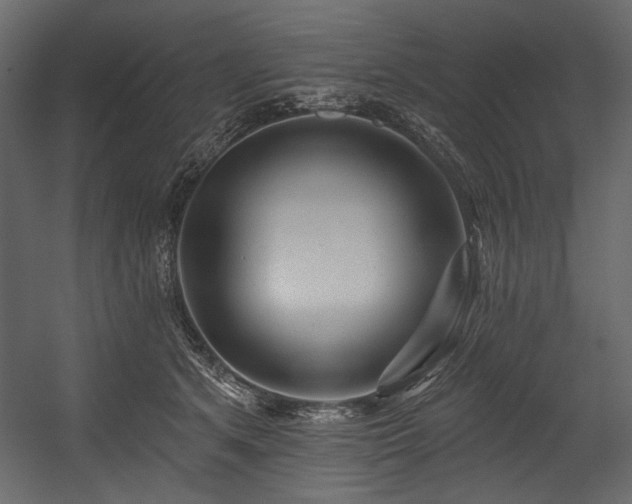 X0000054380513200508011257
