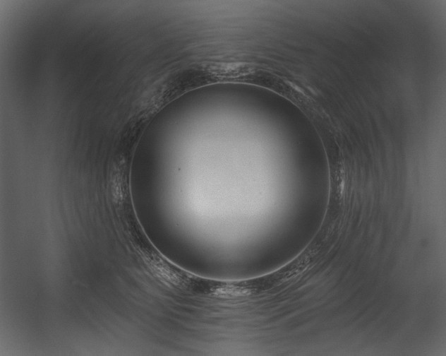X0000054380515200508011257