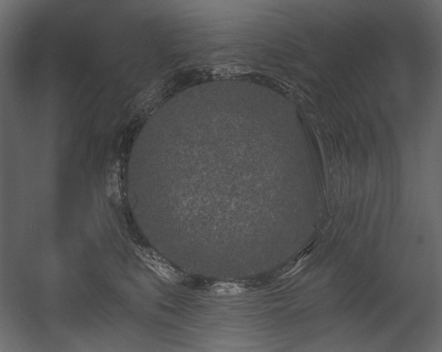 X0000054380519200508011257