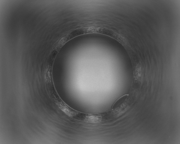 X0000054380522200508011257