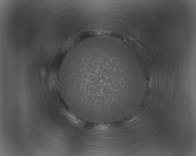 X0000054380523200508011257