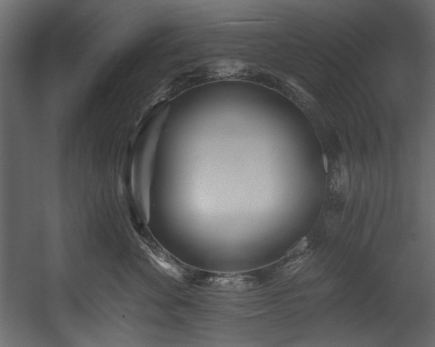 X0000054380524200508011257