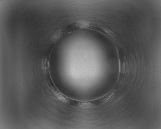 X0000054380525200508011257