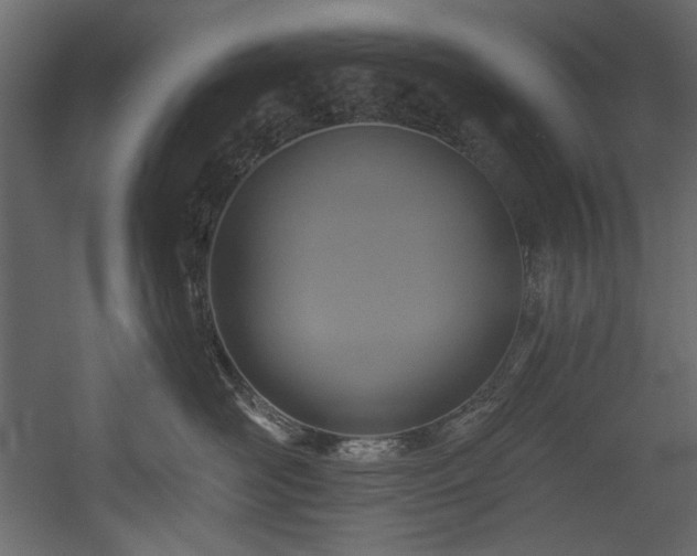 X0000054380526200508011257