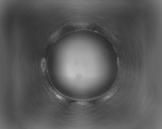 X0000054380528200508011257