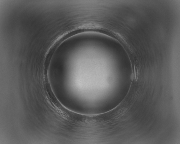 X0000054380531200508011256