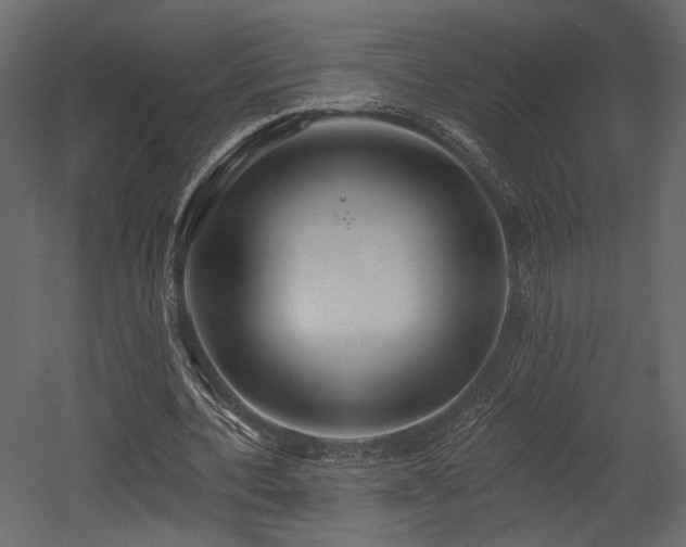 X0000054380532200508011256