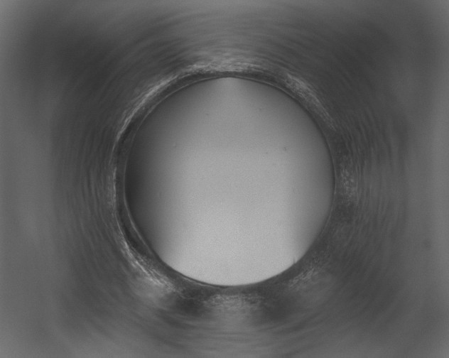 X0000054380534200508011256