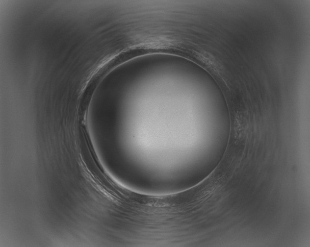 X0000054380535200508011256