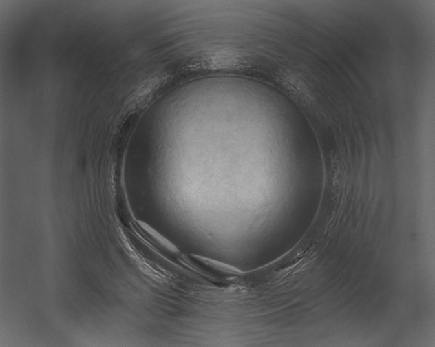 X0000054380542200508011256