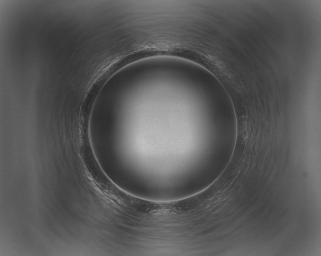 X0000054380544200508011256