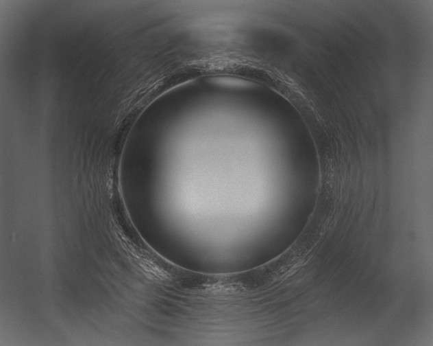 X0000054380545200508011256