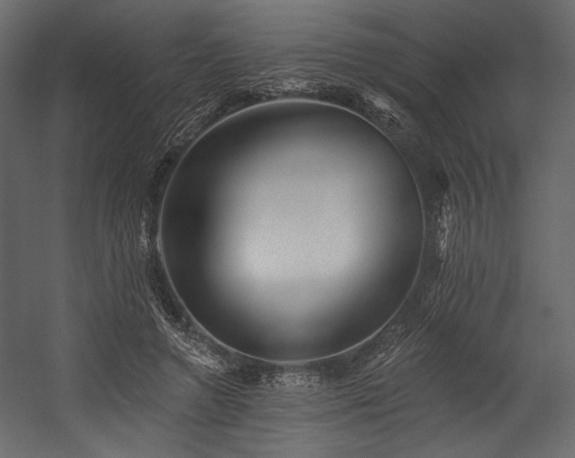 X0000054380546200508011256
