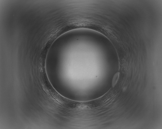 X0000054380547200508011256