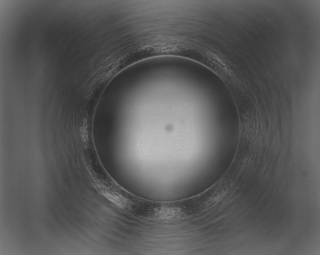X0000054380549200508011256