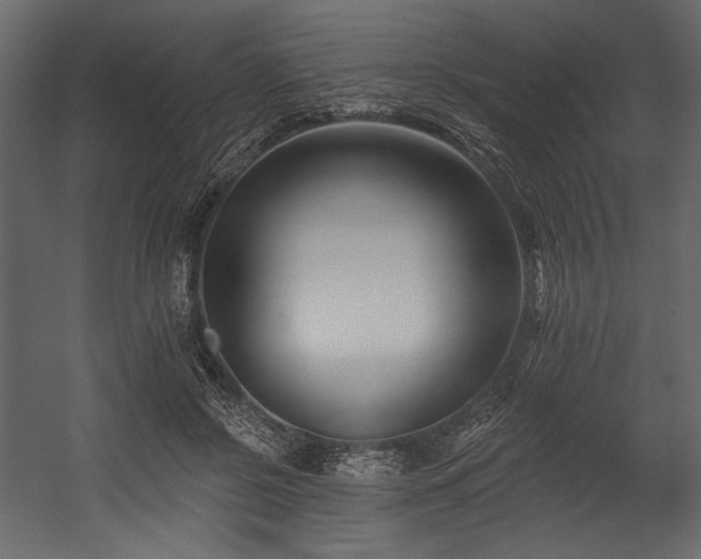 X0000054380550200508011256
