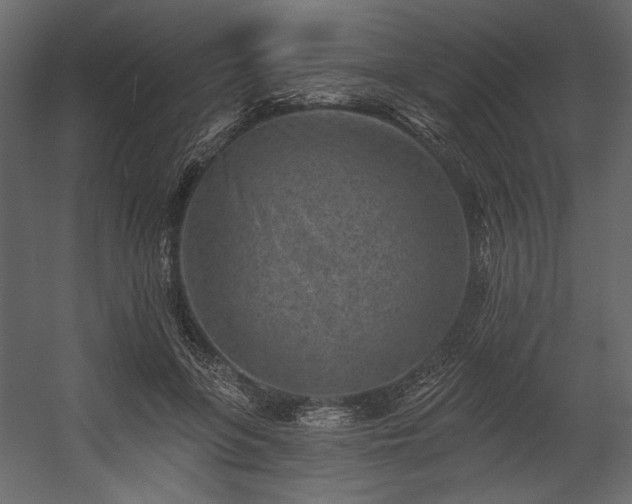 X0000054380551200508011256