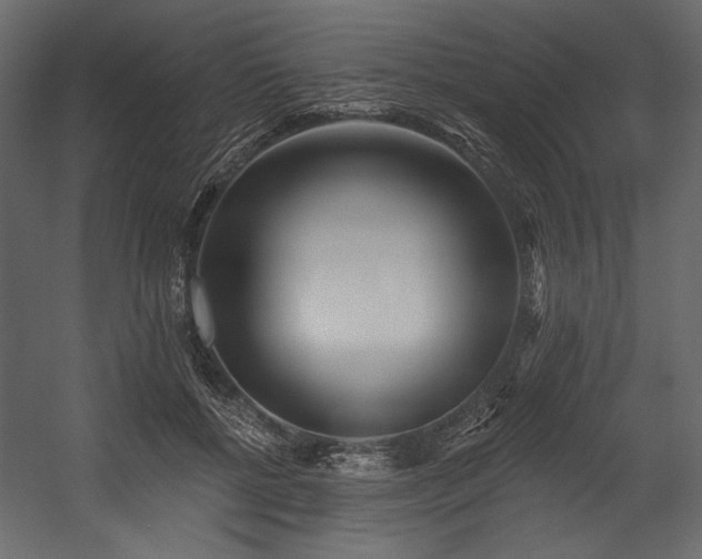 X0000054380552200508011256