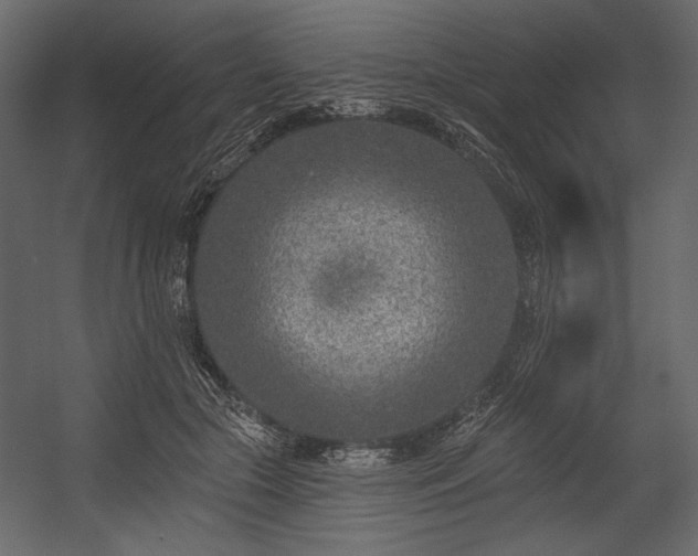 X0000054380553200508011256