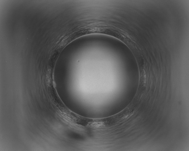X0000054380554200508011256