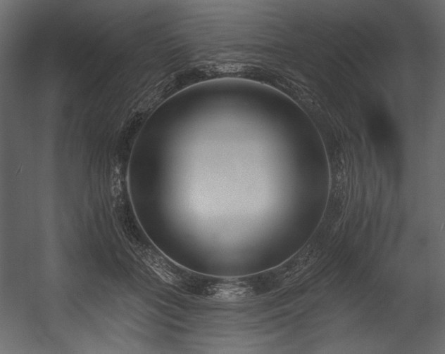X0000054380555200508011256