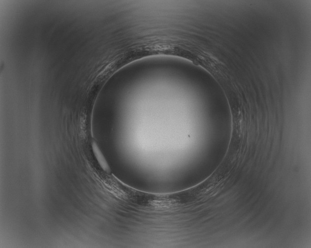 X0000054380556200508011256
