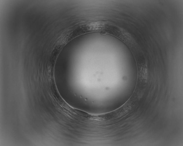 X0000054380557200508011256