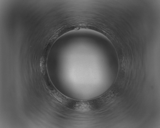 X0000054380559200508011256