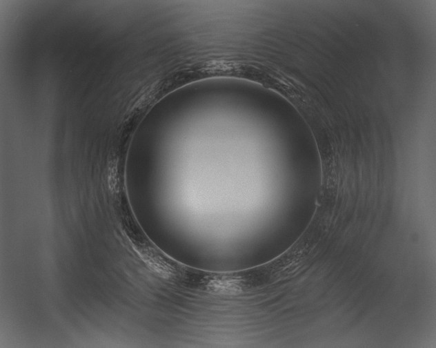 X0000054380560200508011256
