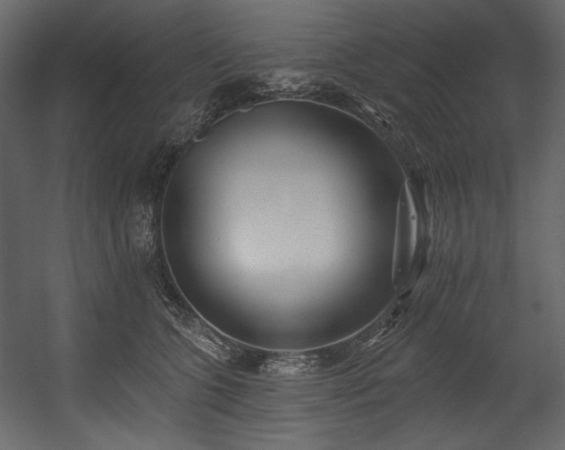 X0000054380563200508011256