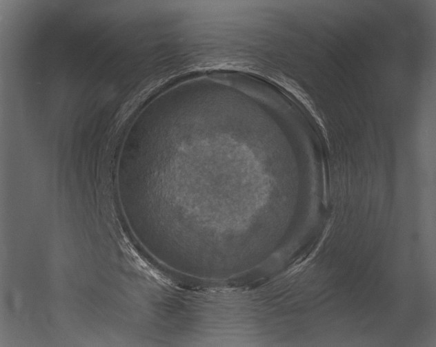 X0000054380577200508011256