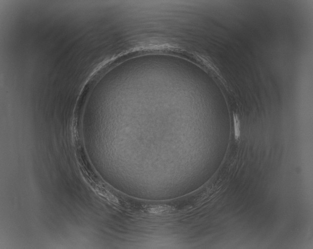 X0000054380579200508011256