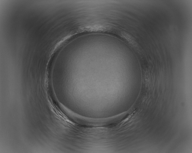 X0000054380583200508011256