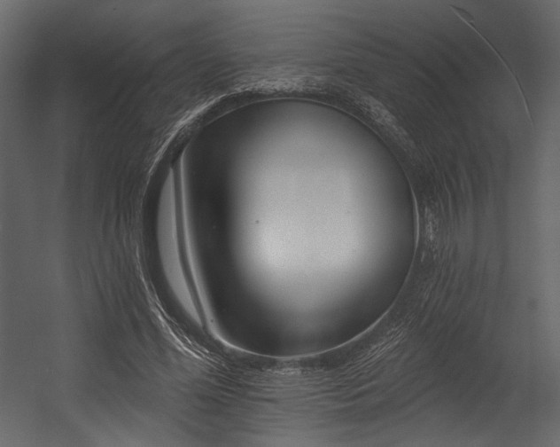 X0000054380588200508011256