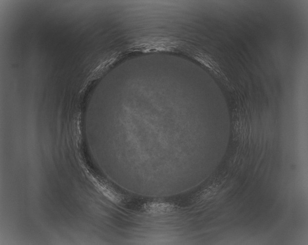 X0000054380590200508011256