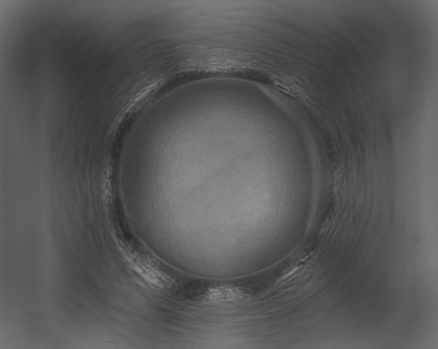 X0000054380591200508011256