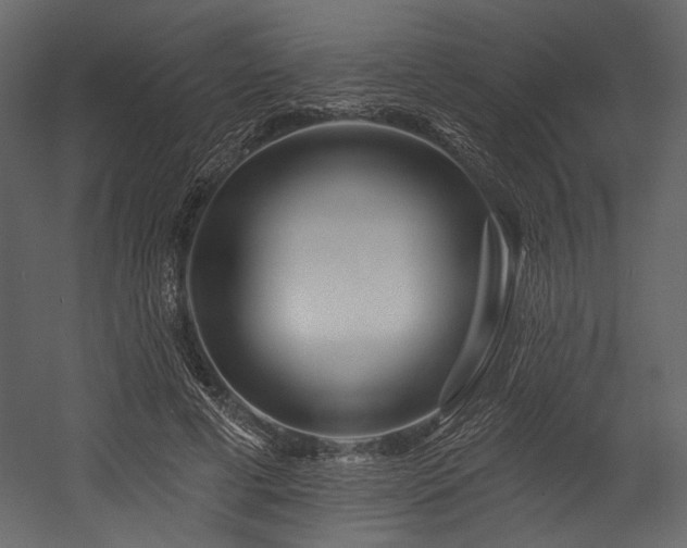 X0000054380593200508011256