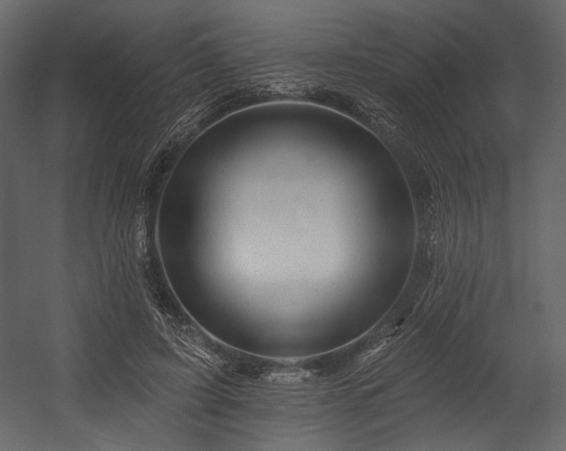 X0000054380595200508011256