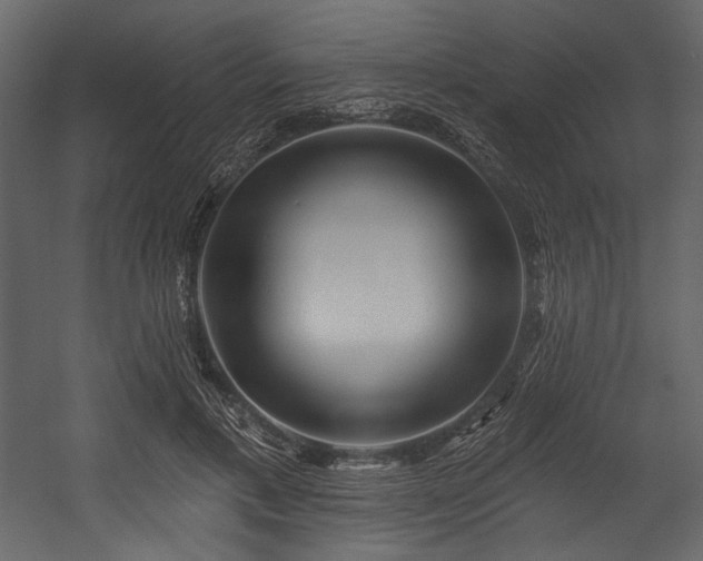 X0000054380597200508011256