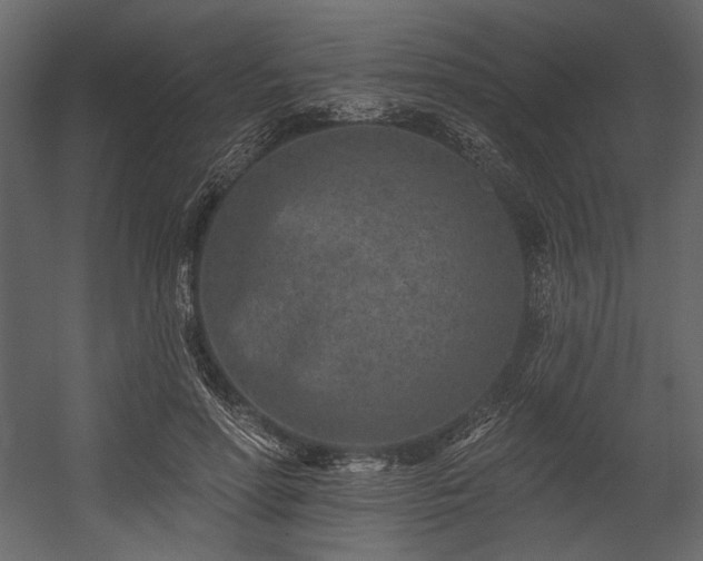 X0000054380598200508011255