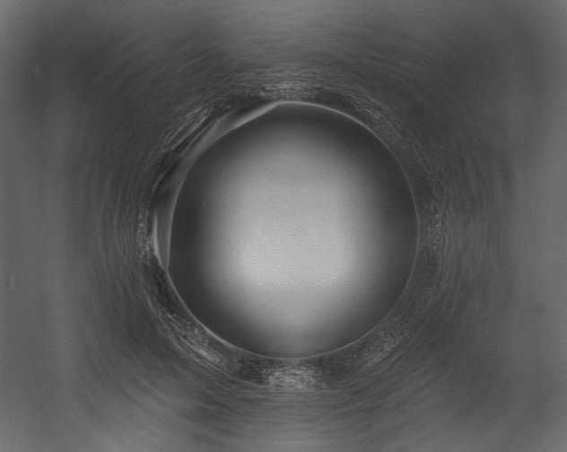 X0000054380599200508011255