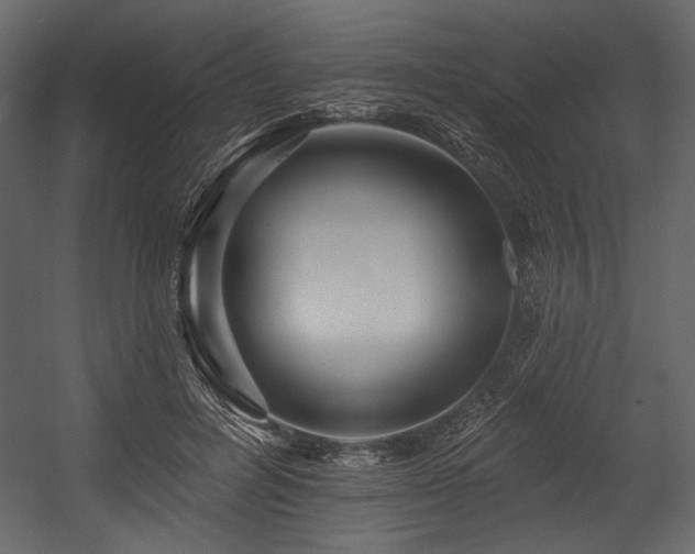 X0000054380600200508011255