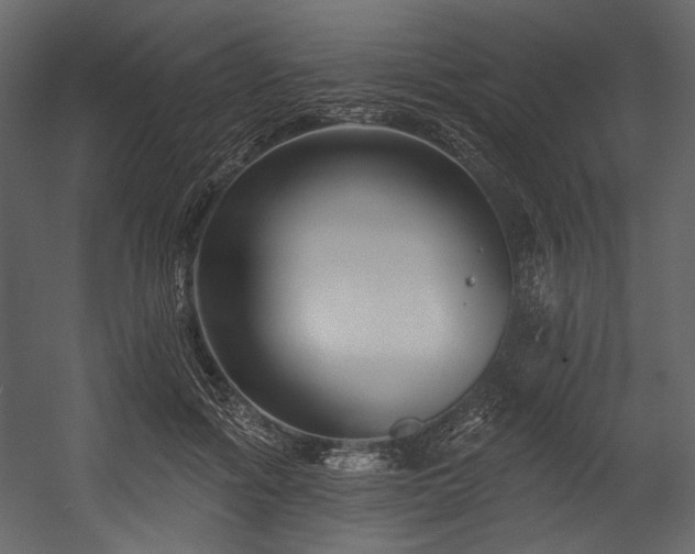 X0000054380602200508011255