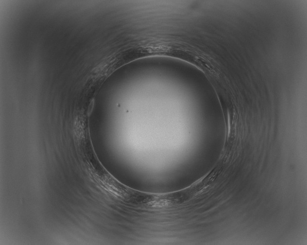X0000054380604200508011255