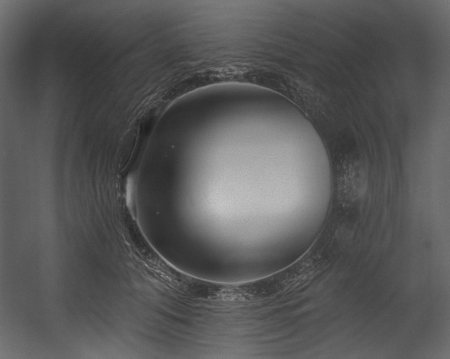 X0000054380608200508011255